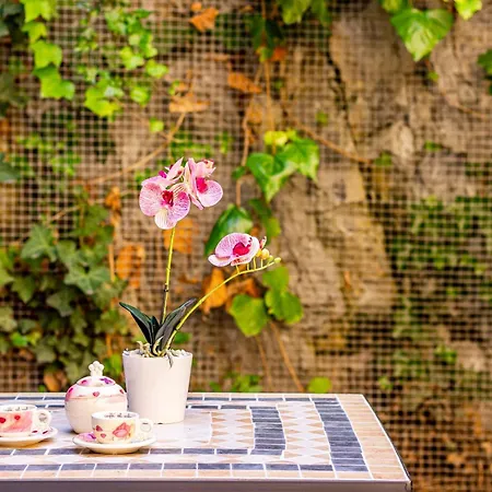 Casa Sofia- Giardino E Garage Privato